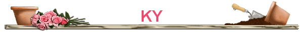 KY