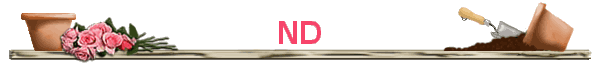 ND